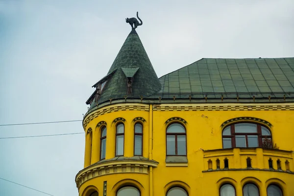 屋顶上的黑猫雕像 拉脱维亚里加市中心的猫屋详情 — 图库照片