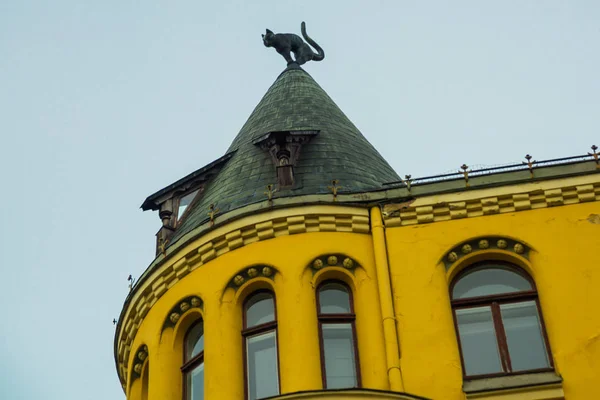 Statue Black Cat Roof Detail Cat House Center Riga Latvia — Stock Photo, Image