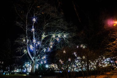 Riga, Letonya: Christmas dekorasyon gece parkta. Noel ağaçları, çelenk, teçhizatları, ışıklar güzel gece manzarası Bastejkalns