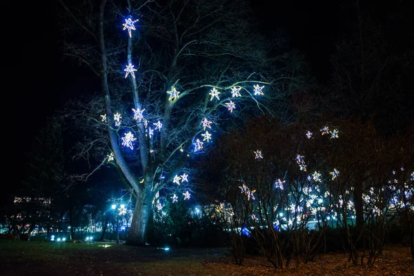 Riga Łotwa Dekorację Świąteczną Nocy Park Choinki Girlandy Instalacje Oświetlenie — Zdjęcie stockowe