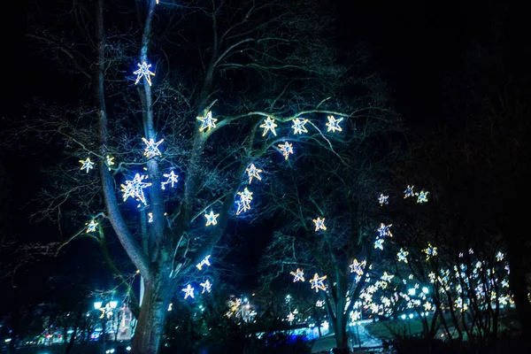 Riga, Letonya: Christmas dekorasyon gece parkta. Noel ağaçları, çelenk, teçhizatları, ışıklar güzel gece manzarası Bastejkalns