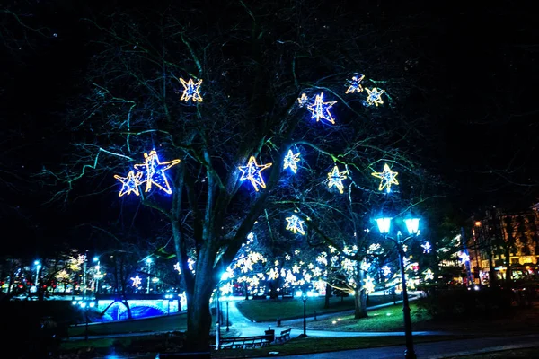 Riga, Letonya: Christmas dekorasyon gece parkta. Noel ağaçları, çelenk, teçhizatları, ışıklar güzel gece manzarası Bastejkalns