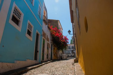 Pelourinho tarihi bölgesinde renkli sömürge evleri. Salvador tarihi merkezi, Bahia, Brezilya.