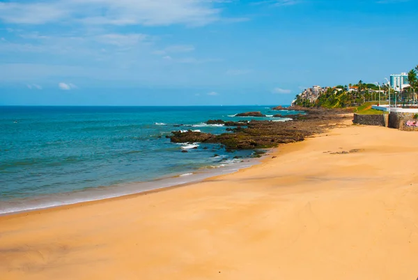 Playa brasileña con arena amarilla y mar azul en tiempo soleado. Brasil. Salvador. América del Sur — Foto de Stock