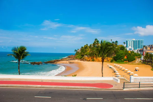 Praia brasileira com areia amarela e mar azul em clima ensolarado. O Brasil. Salvador. América do Sul — Fotografia de Stock