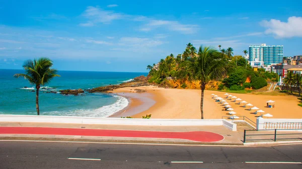 Playa brasileña con arena amarilla y mar azul en tiempo soleado. Brasil. Salvador. América del Sur —  Fotos de Stock