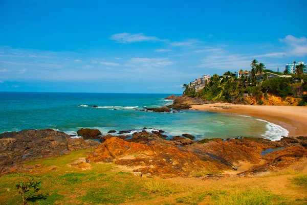 Brasiliansk strand med gul sand och blått hav i soligt väder. Brasilien. Salvador. Sydamerika — Stockfoto