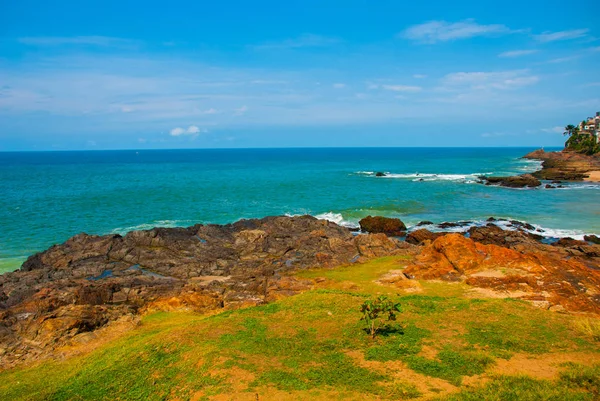 Pantai Brasil dengan pasir kuning dan laut biru dalam cuaca cerah. Brasil. Salvador. Amerika Selatan — Stok Foto