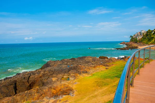 Spiaggia brasiliana con sabbia gialla e mare blu con tempo soleggiato. Brasile. Salvador. America del Sud — Foto Stock