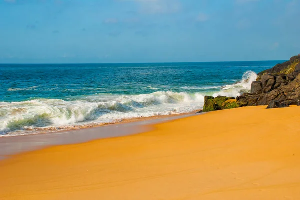 Spiaggia brasiliana con sabbia gialla e mare blu con tempo soleggiato. Brasile. Salvador. America del Sud — Foto Stock