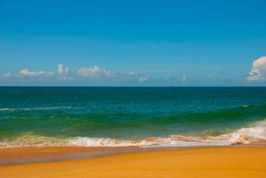 Salvador, Bahia, Brezilya: Güneşli havalarda sarı kum ve mavi deniz ile Brezilya plaj.