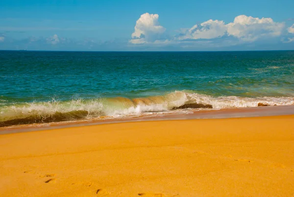Salvador, Bahia, Brezilya: Güneşli havalarda sarı kum ve mavi deniz ile Brezilya plaj.