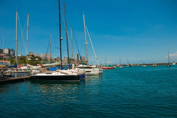 SALVADOR, BAHIA, BRÉSIL : Beau paysage avec de belles vues sur la ville depuis l'eau. Maisons, gratte-ciel, navires et sites touristiques . — Photo