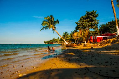 Vera Cruz, ada Itaparica, Bahia, Brezilya: Palmiye ağaçları ve Salvador kenti yakınlarındaki bir plaj ile güzel ada.