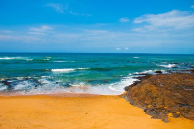 Salvador, Brezilya: Tropikal plaj manzaralı güzel manzara. Güneşli havalarda Brezilya plajı