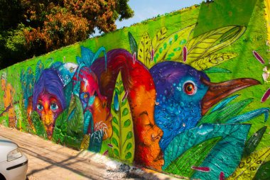 Salvador, Brezilya: Duvarda boyalar ile boyanmış güzel çizimler. Binalarda Güzel Graffiti.