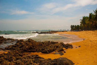 Salvador, Bahia, Brezilya: Itapua plajında tropikal manzara