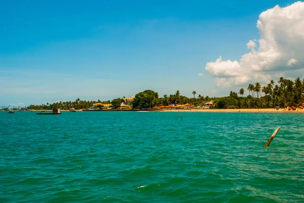 Vera Cruz, île d'Itaparica, Bahia, Brésil : Belle île avec des palmiers et une plage près de la ville de Salvador . — Photo