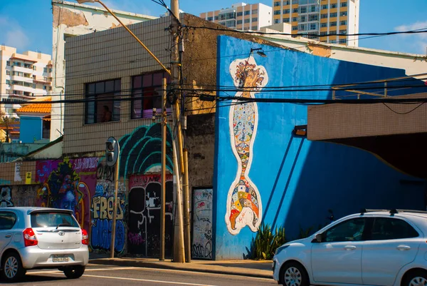 Salvador, Brazília: színes brazil utcai művészet graffiti jelenet, festett kép a sellő falra — Stock Fotó