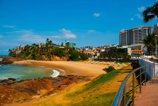 SALVADOR, BRASILE: Bellissimo paesaggio con vista sulla spiaggia tropicale. Spiaggia brasiliana in tempo soleggiato — Foto Stock