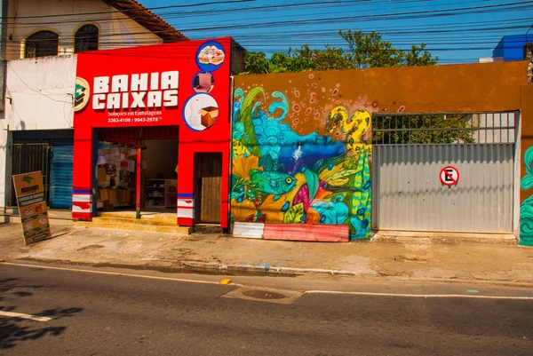 Salvador, Brazilië: mooie tekeningen geschilderd met verven op de muur. Mooie graffiti op gebouwen. — Stockfoto