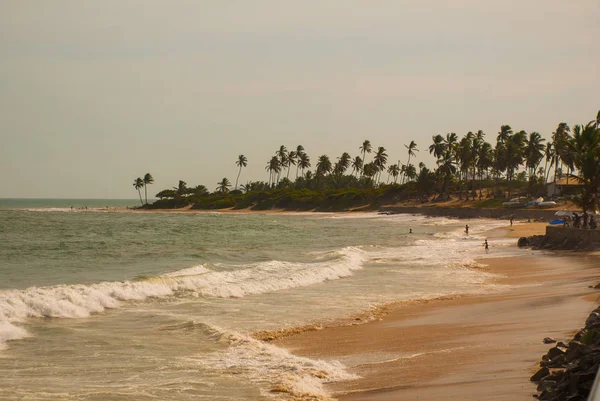 SALVADOR, BRASILE: Paesaggio tropicale sulla spiaggia di Itapua — Foto Stock