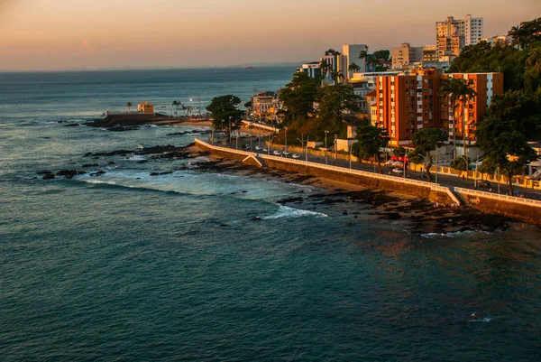 萨尔瓦多， 巴西： 殖民圣玛丽亚堡在巴拉萨尔瓦多巴西建在热带海滩上与棕榈树 — 图库照片