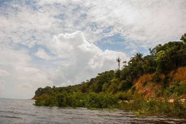 Rio delle Amazzoni, Amazzoni, Brasile: bellissimo paesaggio con vista sul fiume e cespugli e giungla . — Foto Stock