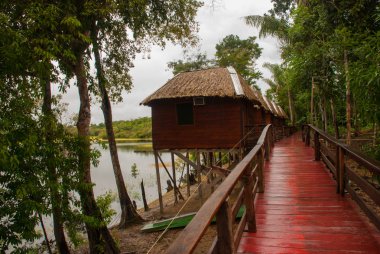 Amazon nehri, Manaus, Amazonas, Brezilya: Evleri ile Amazon nehri bakan güzel manzara.