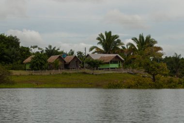 Amazon nehri, Manaus, Amazonas, Brezilya: Evleri ile Amazon nehri bakan güzel manzara.