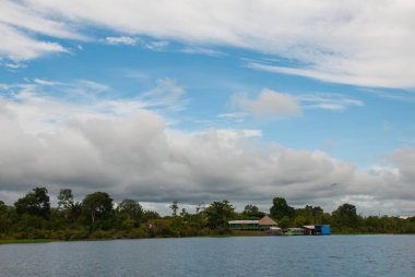 Amazon nehri ve orman manzarası ile olağanüstü güzel manzara. Manaus, Amazonas, Brezilya