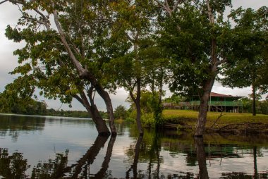 Amazon nehri, Manaus, Amazonas, Brezilya: Evleri ile Amazon nehri bakan güzel manzara.