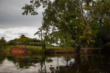 Amazon nehri, Manaus, Amazonas, Brezilya: Evleri ile Amazon nehri bakan güzel manzara.