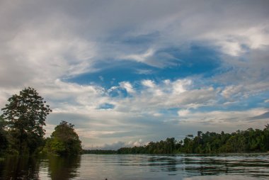 Amazon nehri ve orman manzarası ile olağanüstü güzel manzara. Manaus, Amazonas, Brezilya