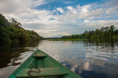 Amazon Ormanı'nın ortasında nehirden aşağı yelken açmak. Amazon nehri, Manaus, Amazonas, Brezilya.