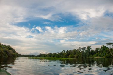 Amazon Ormanı'nın ortasında nehirden aşağı yelken açmak. Amazon nehri, Manaus, Amazonas, Brezilya.