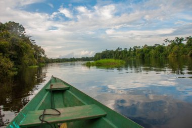 Amazon Ormanı'nın ortasında nehirden aşağı yelken açmak. Amazon nehri, Manaus, Amazonas, Brezilya.