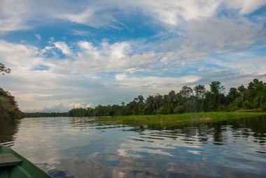 Amazon Ormanı'nın ortasında nehirden aşağı yelken açmak. Amazon nehri, Manaus, Amazonas, Brezilya.