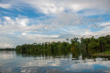 Amazon Ormanı'nın ortasında nehirden aşağı yelken açmak. Amazon nehri, Manaus, Amazonas, Brezilya.