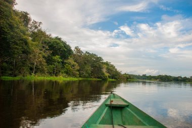 Ormanda Amazon nehri üzerinde ahşap bir teknede yelken. Amazon Nehri Manaus, Amazonas, Brezilya.