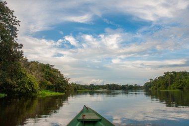 Ormanda Amazon nehri üzerinde ahşap bir teknede yelken. Amazon Nehri Manaus, Amazonas, Brezilya.