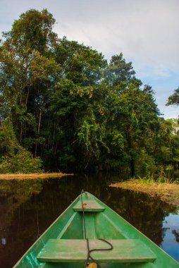 Amazon nehri, Manaus, Amazonas, Brezilya: Amazon ormanının durgun sularında Amazon nehri üzerinde yüzen ahşap tekne.