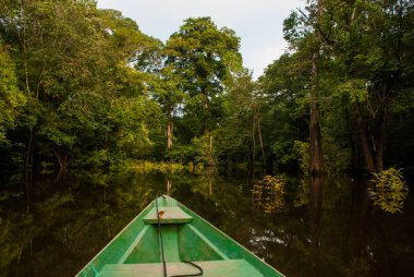 Amazon nehri, Manaus, Amazonas, Brezilya: Amazon ormanının durgun sularında Amazon nehri üzerinde yüzen ahşap tekne.