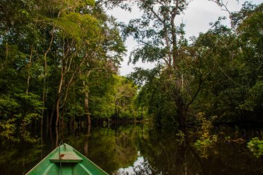 Amazon nehri, Manaus, Amazonas, Brezilya: Amazon ormanının durgun sularında Amazon nehri üzerinde yüzen ahşap tekne.