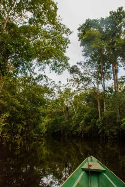 Amazon nehri, Manaus, Amazonas, Brezilya: Amazon ormanının durgun sularında Amazon nehri üzerinde yüzen ahşap tekne.