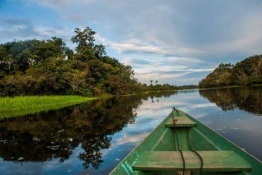 Geleneksel ahşap tekne ormanda Amazon nehri üzerinde yüzer. Amazon Nehri Manaus, Amazonas, Brezilya.