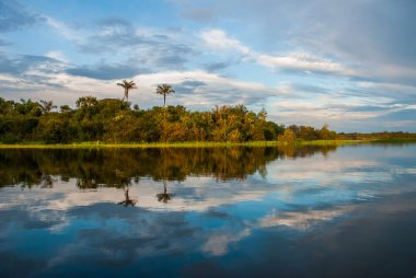 Amazon nehri ve orman manzarası ile olağanüstü güzel manzara. Manaus, Amazonas, Brezilya