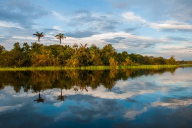 Amazon nehri ve orman manzarası ile olağanüstü güzel manzara. Manaus, Amazonas, Brezilya