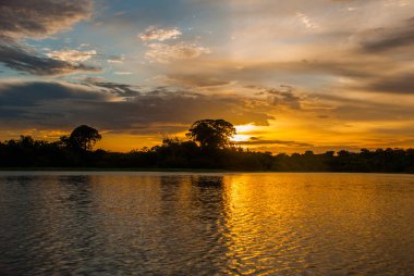 Amazon Nehri üzerinde güzel gün batımı. Manaus, Amazonas, Brezilya