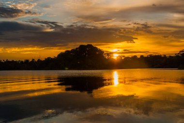 Nehre ve Amazon ormanına bakan güzel gün batımı manzarası. Manaus, Amazonas, Brezilya